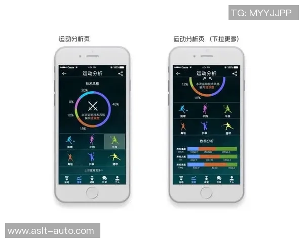 北京羽毛球队总决赛技术分析与表现评估探讨 北京羽毛球队总决赛技术分析与表现评估探讨