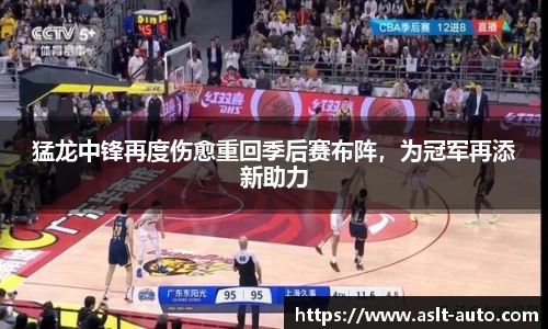 猛龙中锋再度伤愈重回季后赛布阵，为冠军再添新助力