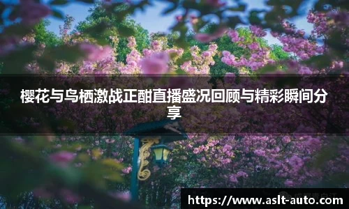 樱花与鸟栖激战正酣直播盛况回顾与精彩瞬间分享