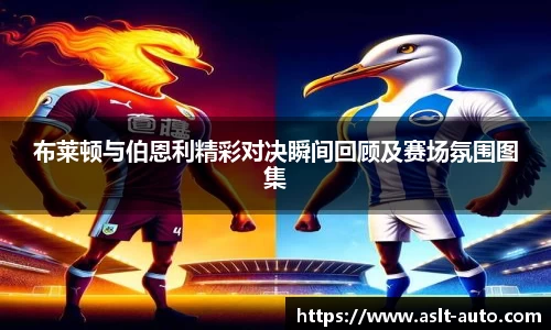 布莱顿与伯恩利精彩对决瞬间回顾及赛场氛围图集
